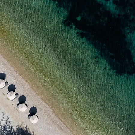 Ilya Botanic Appartamento *