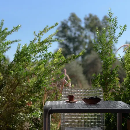 Ilya Botanic Appartamento *