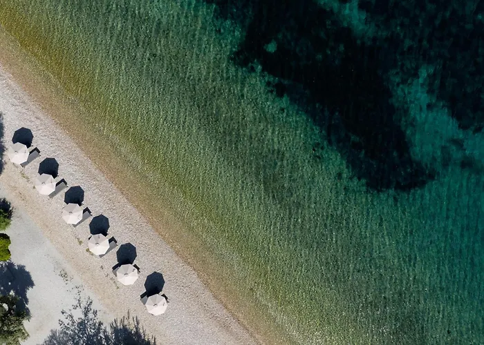 Ilya Botanic Apartment *