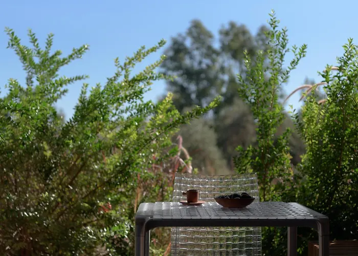 Ilya Botanic Apartment *